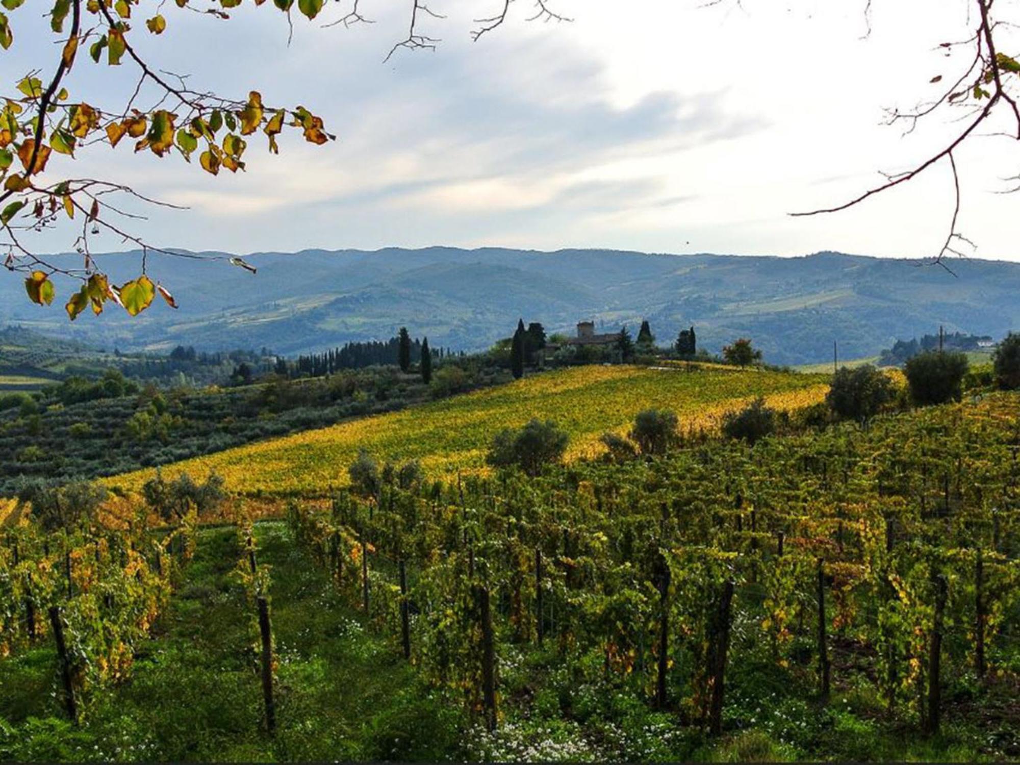 Holiday Home La Torre By Interhome Lucolena in Chianti Εξωτερικό φωτογραφία