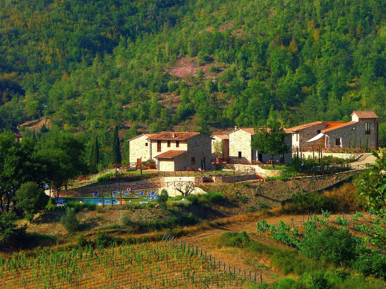 Holiday Home La Torre By Interhome Lucolena in Chianti Εξωτερικό φωτογραφία